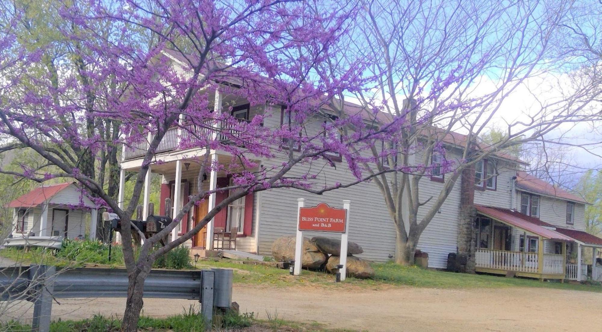 Earlysville Bliss Point Farm And B&B, Llc מראה חיצוני תמונה